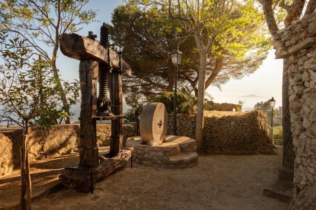 Torchio di frantoio e Scudedda di frantoio a una macina a trazione animale.